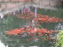 -普陀山风景名胜区-法雨禅寺