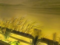 -東大方(湖州白鹭迎店)
