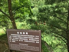 -苍山感通索道