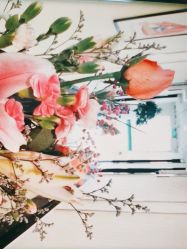 -千禧果月子会所(郑州东站店)