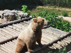 -济南野生动物世界