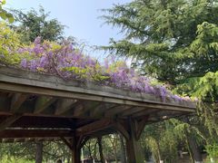 -白塘生态植物园