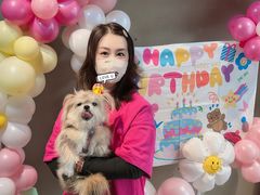 -百好乐宠物友好餐厅(朝外大街店)