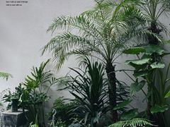 -漫笙舍Manse·咖啡·民宿