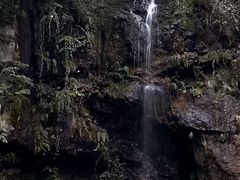 -龙苍沟森林公园