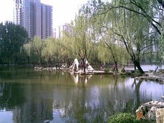 -紫竹院公园冰场