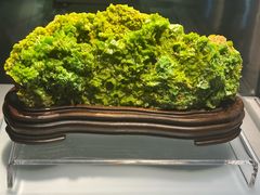 -安徽省地质博物馆