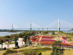 -芒洲湿地公园