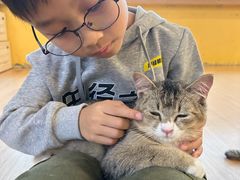 -喵小馆·猫咖狗咖猪咖·饮品店