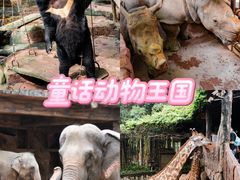-长鹿旅游休博园