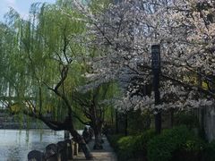 -运河游船(武林门码头)