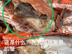 -拉萨圣地天堂洲际大饭店-自助餐厅