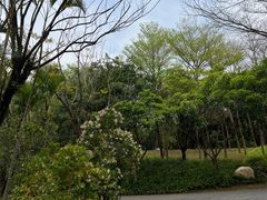 -深圳国际园林花卉博览园