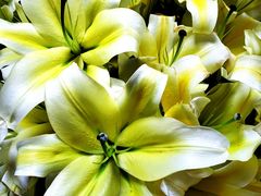 -农汤老店(顺联公园里店)