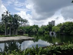 -荔湾湖公园