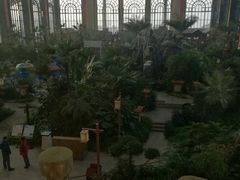 -郑州银基黄帝宫御温泉