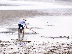 -红树林天天赶海