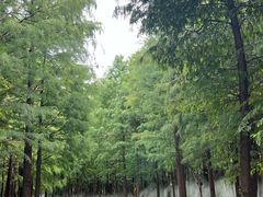-尚湖风景区