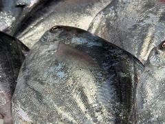 -龙宴海鲜城(经中路店)