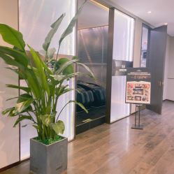 -崇尚GAVIN STYLE臻选