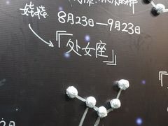 -杨梅红艺术教育(万象城校区)
