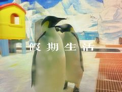 -海合安天津极地海洋公园