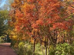 -长春市南湖公园