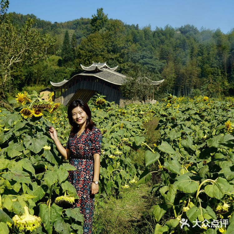 泰顺旅游的第一站！