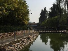 -小慧大桃观光采摘园