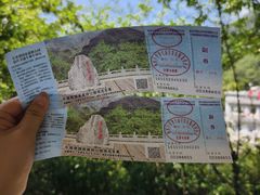 -牛背梁国家森林公园