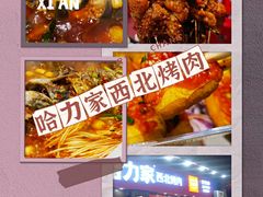 -哈力家·西北烧烤烤串(凤城三路店)