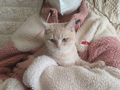 -平行世界·猫咖(首经贸店)