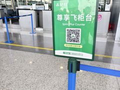 -上海浦东国际机场-T2航站楼