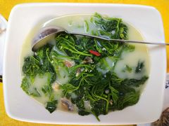 -鸽王世家(东华东路店)
