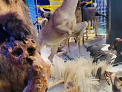 -凯德广场(武胜路店)