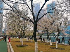 -西北湖绿化广场