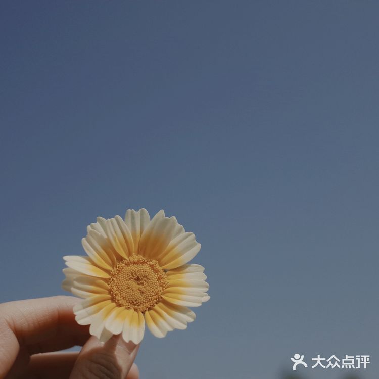 假日农家乐走起.#凤凰山农趣谷