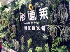 -彤德莱火锅(薛家岛利群店)