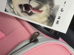 -爱诺耐芙动物医院(万博店)