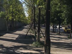 -枫香湖儿童公园