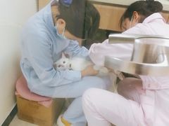 -全心全意连锁动物医院·微创中心·内科急重症·心脏专科(丰管路店)