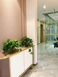 点击看大图 -漂亮妈妈通乳·塑形·产后恢复(奥体店)