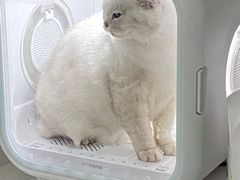 -1013 PET SHOP 宠物商店(近铁城市广场店)