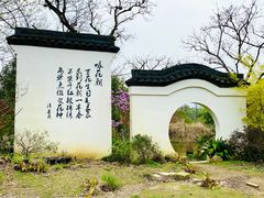 -西溪国家湿地公园