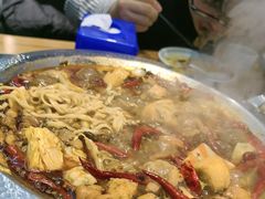 -川大刘肥肠鸡(北国店)