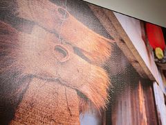 -恰八斗·猛火长沙菜(国贸店)