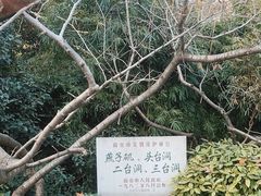 -幕燕滨江·燕子矶公园