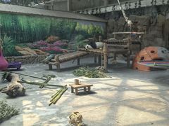 -青藏高原野生动物园