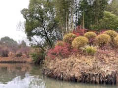 -西溪国家湿地公园