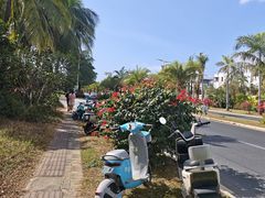 -三亚湾电动车租赁(三亚湾店)